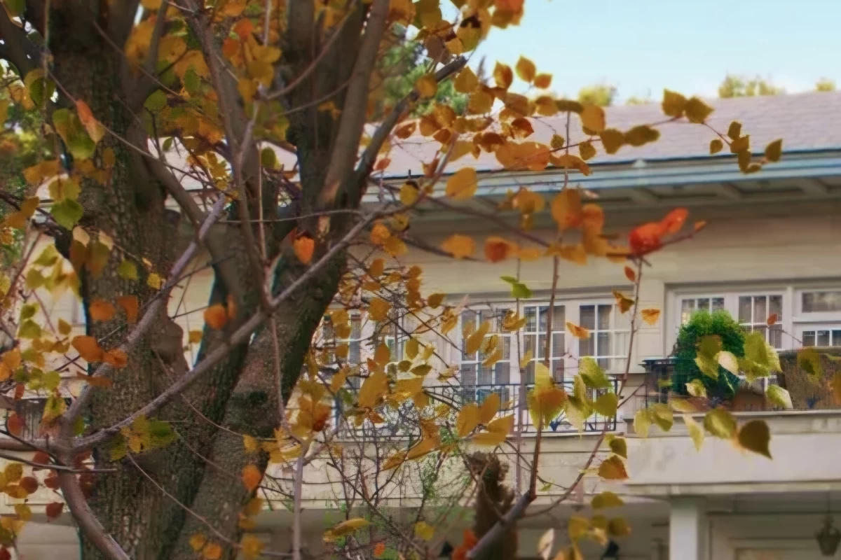 عکس آره من تو ایران زندگی می‌کنم