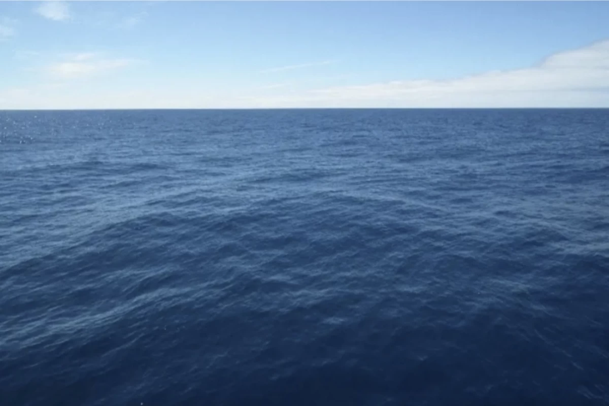 عکس ۱۰ فکت جالب و ترسناک از اعماق دریا