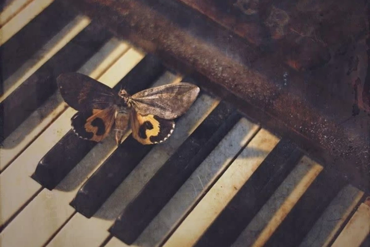 عکس اینجا مدرسه نیست.