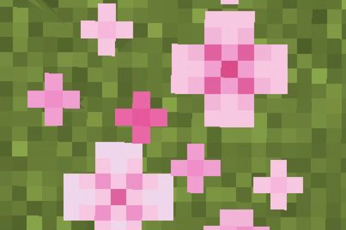 عکس 🧃:دوران ج_نگ؟!