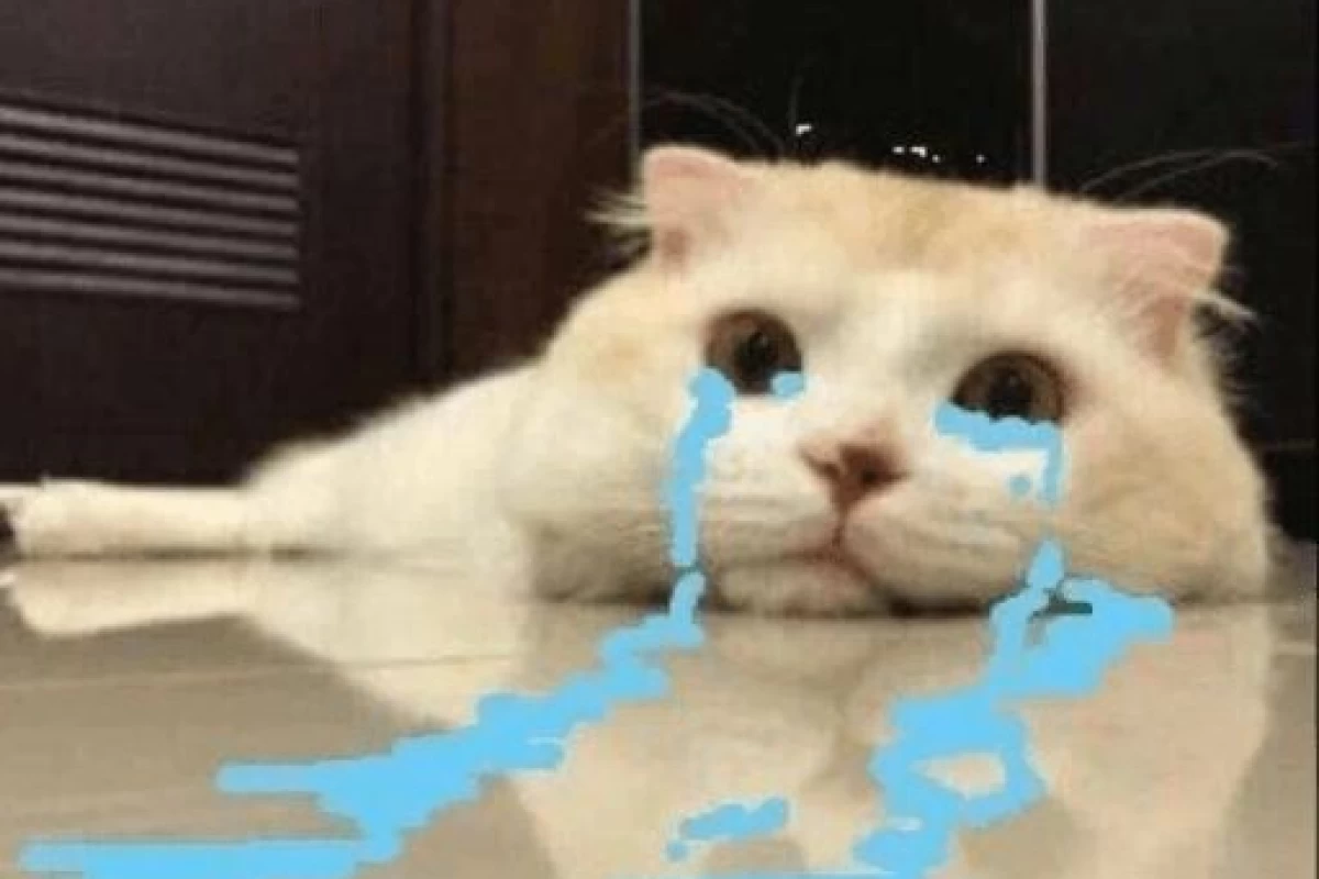 عکس ناراحتم چون..