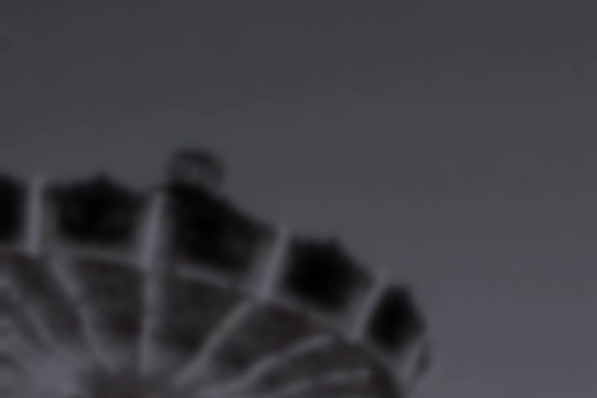 عکس چی بودی! چی شدی!