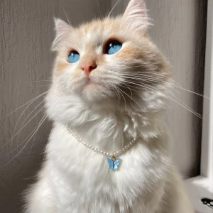 عکس بیوگرافی