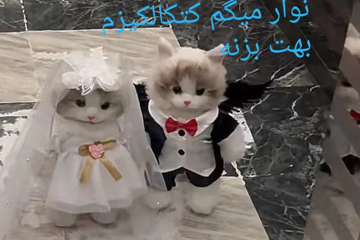 عکس ۱۰ تا از زیبا ترین لباس های میراکلس