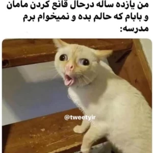 کاور