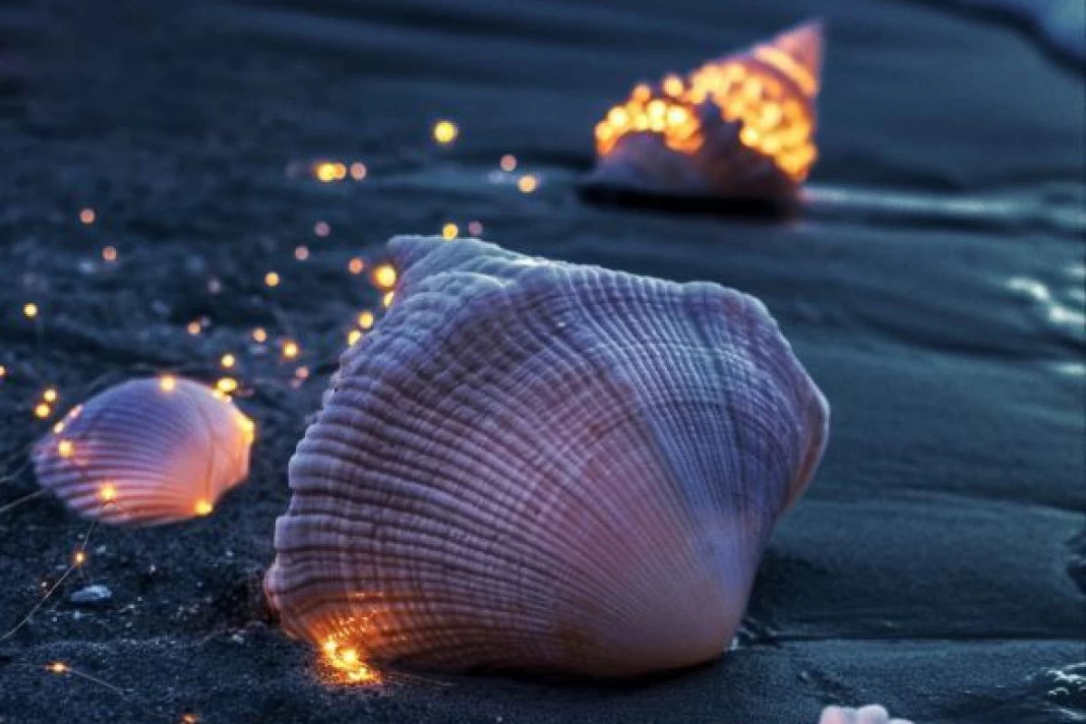 عکس کیک گردو ☆