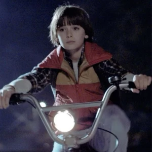 عکس بیوی یک بچه گربه