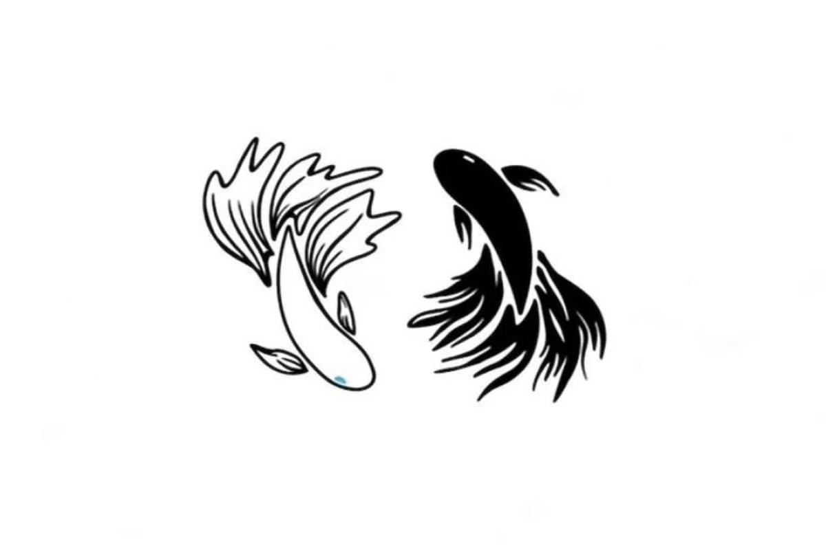 عکس بیوی یک بچه گربه