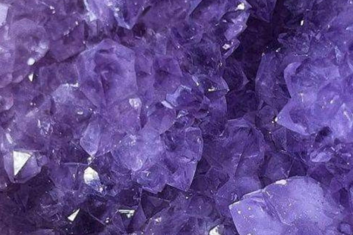 عکس چرا X افتاده زندان؟[فان]