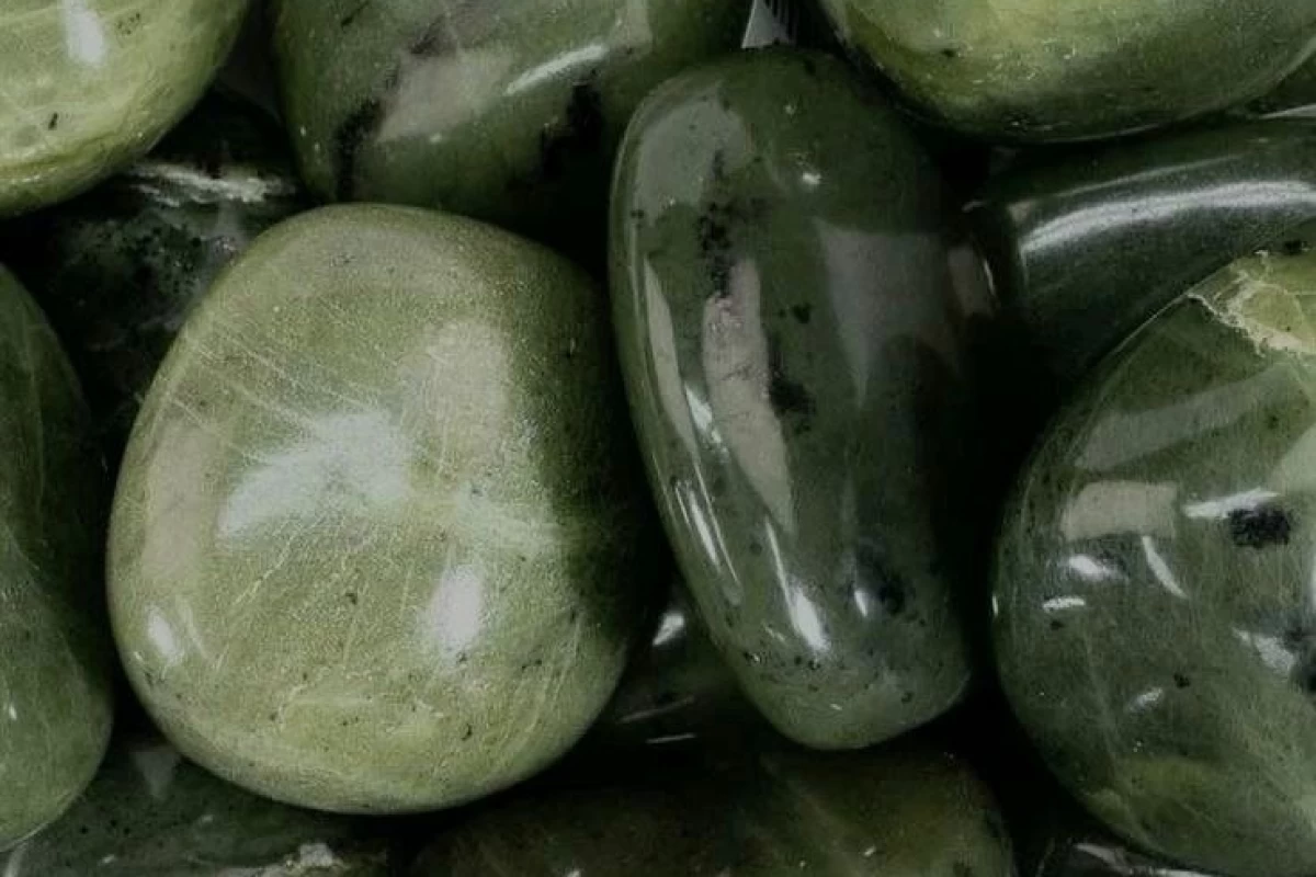 عکس هر یک از اعضای اسکیز سفیر چه برندی هستد؟