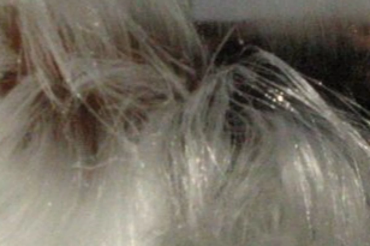 عکس پدیده های طبیعی،عجیب و زیبا💥پارت دوم