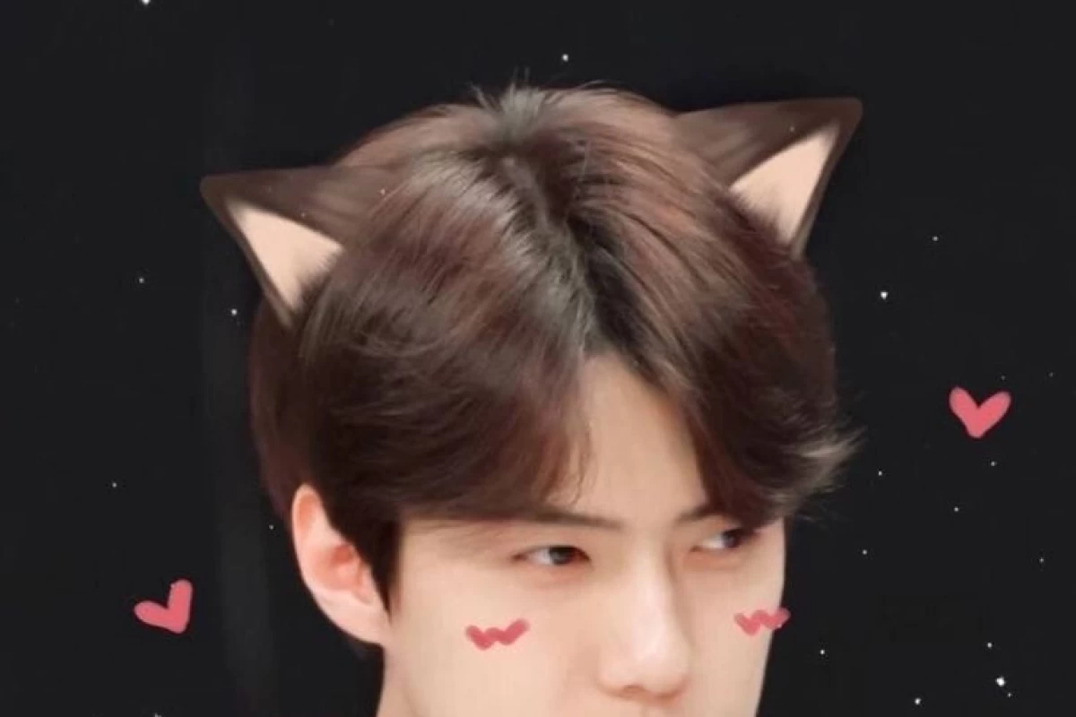 عکس بهترین استایل تو هر اهنگ (Exo)