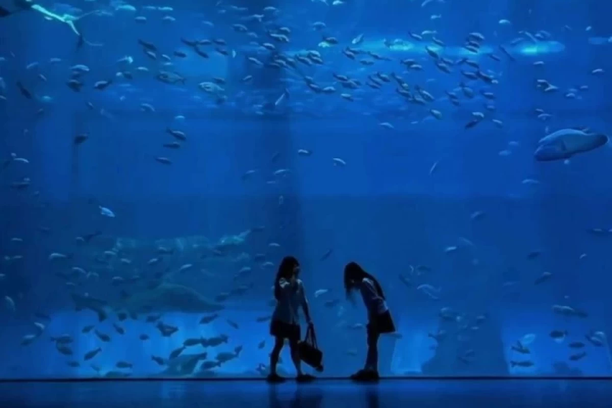 عکس تو کی هستی ؟ ~ MBTI