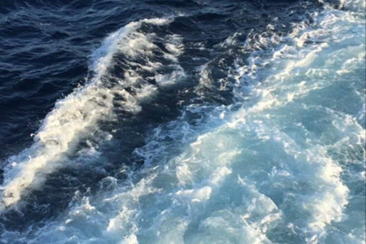 عکس اگه آیدل بودی چه بیوگرافی داشتی؟