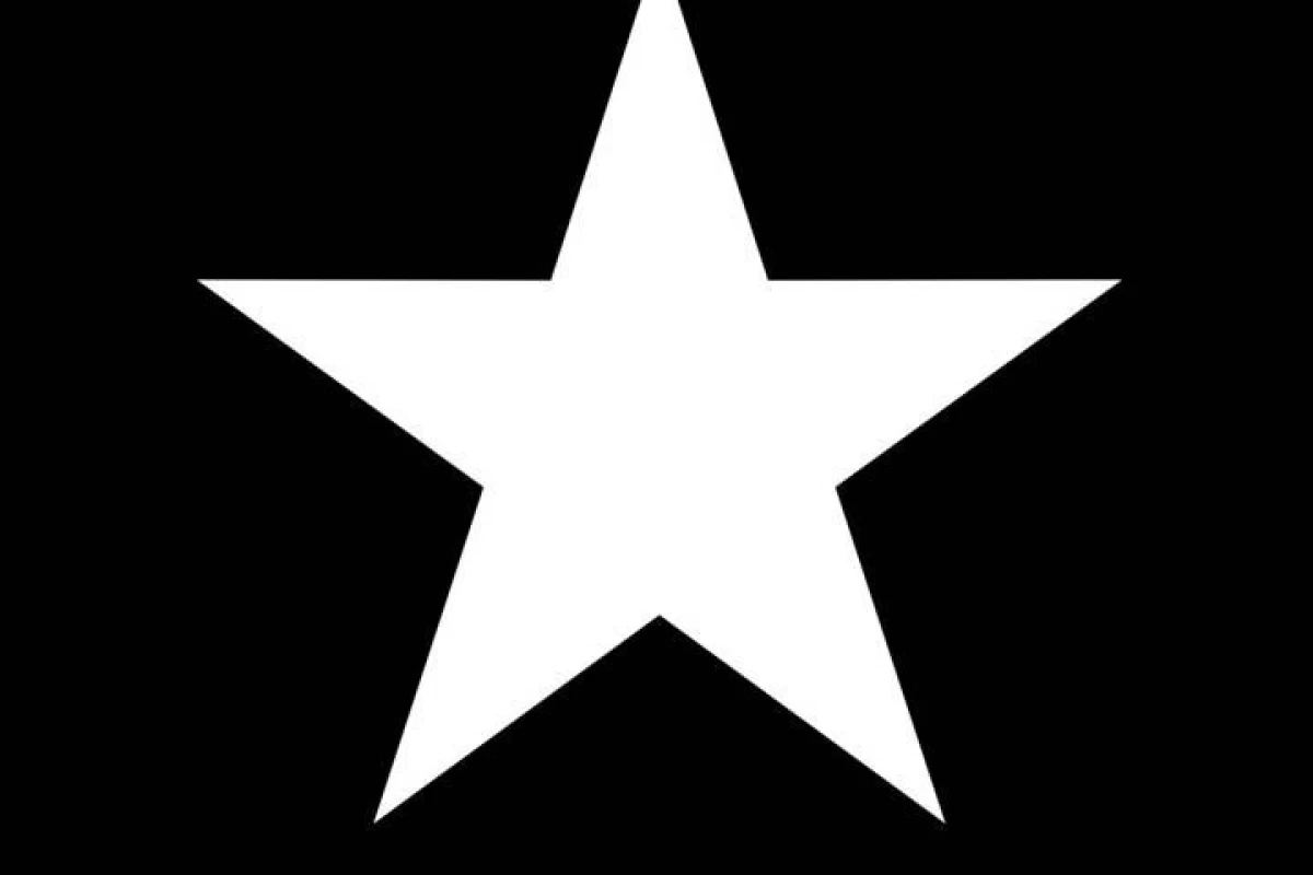 عکس زشتی ، زیبایی: