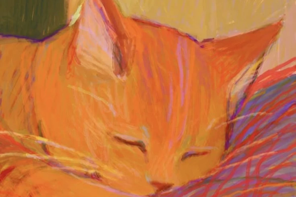 عکس وایب کاربرای تستچی ..؟