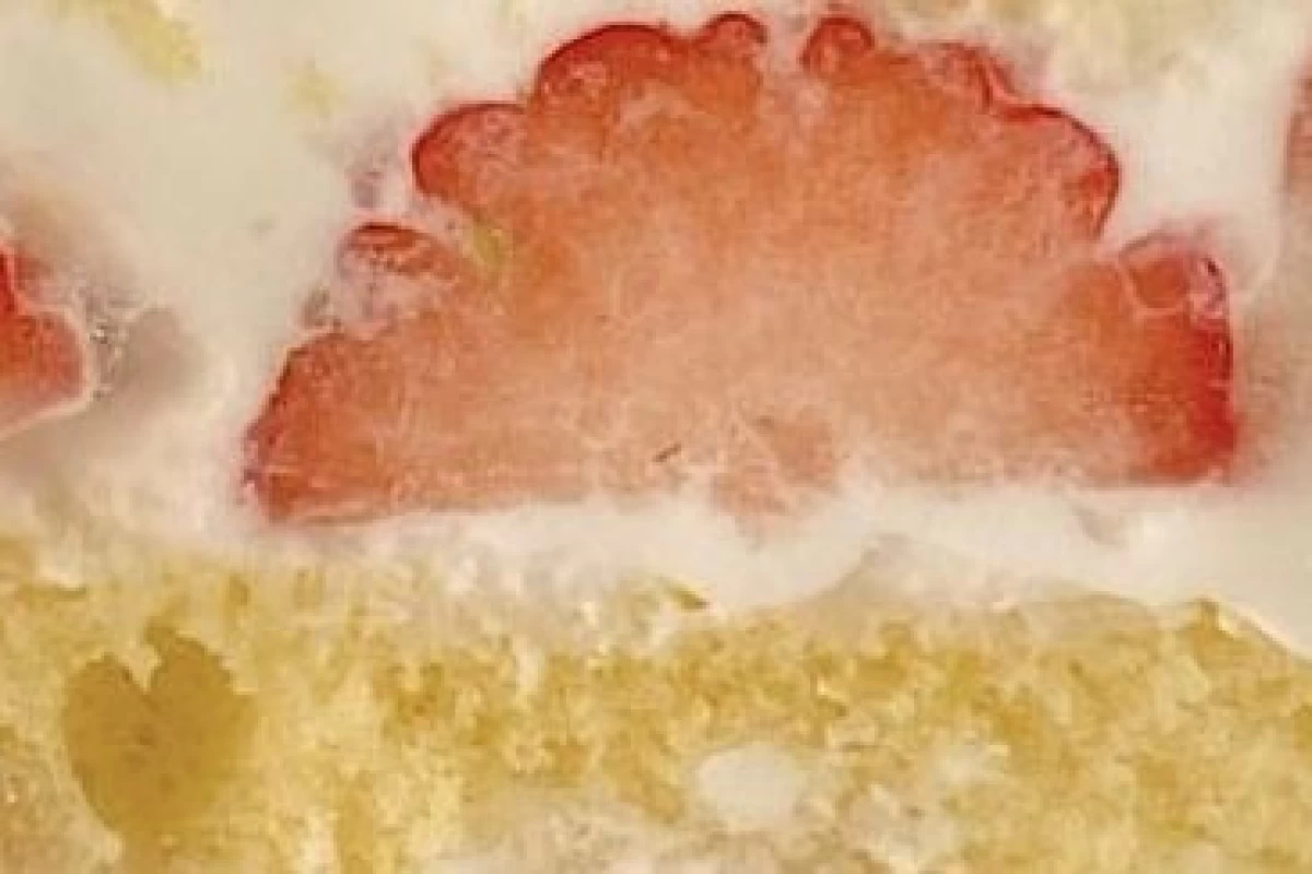 عکس کیک : ۴۰۰۰ سال قدمت تا کیک مدرن