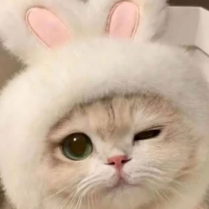 عکس در مورد خودوم