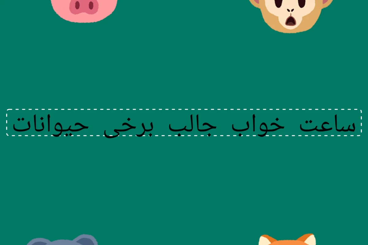 عکس ساعت خواب جالب برخی حیوانات