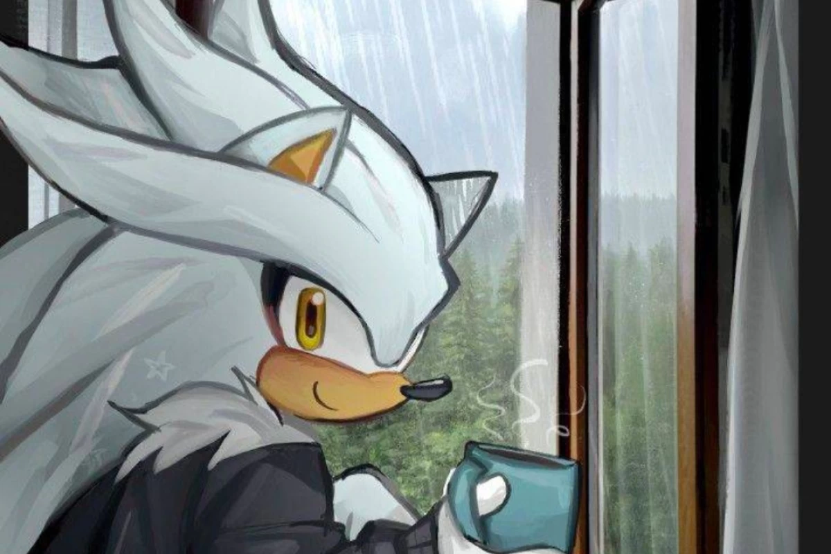 عکس چقدر سیلور خارپشت رو میشناسی ؟