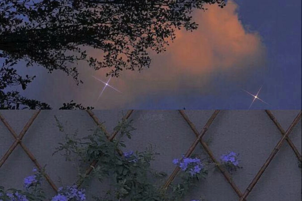 عکس رنگ مورد علاقه آیدل ها