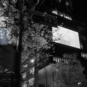 عکس 🖤: آماندا ؛