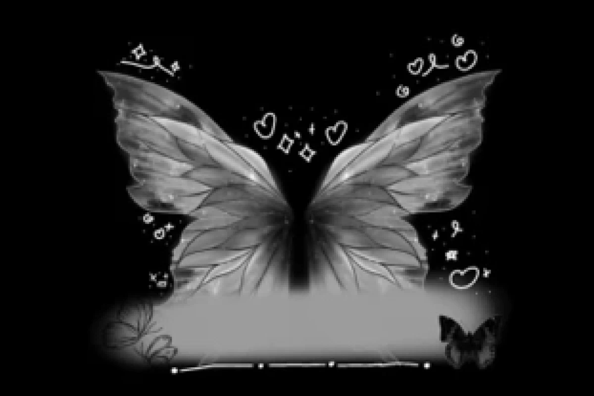 عکس 🖤: آماندا ؛