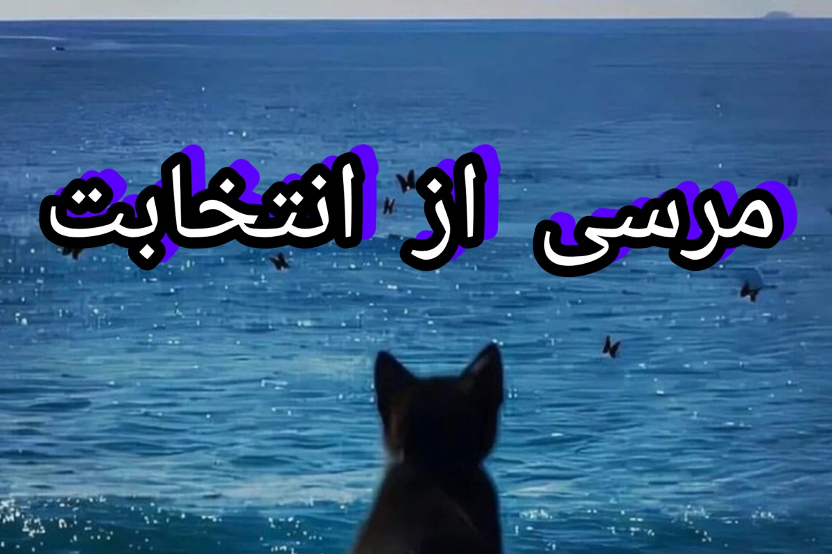 عکس 🗣چرا افسردگی گرفتی؟ چون.......