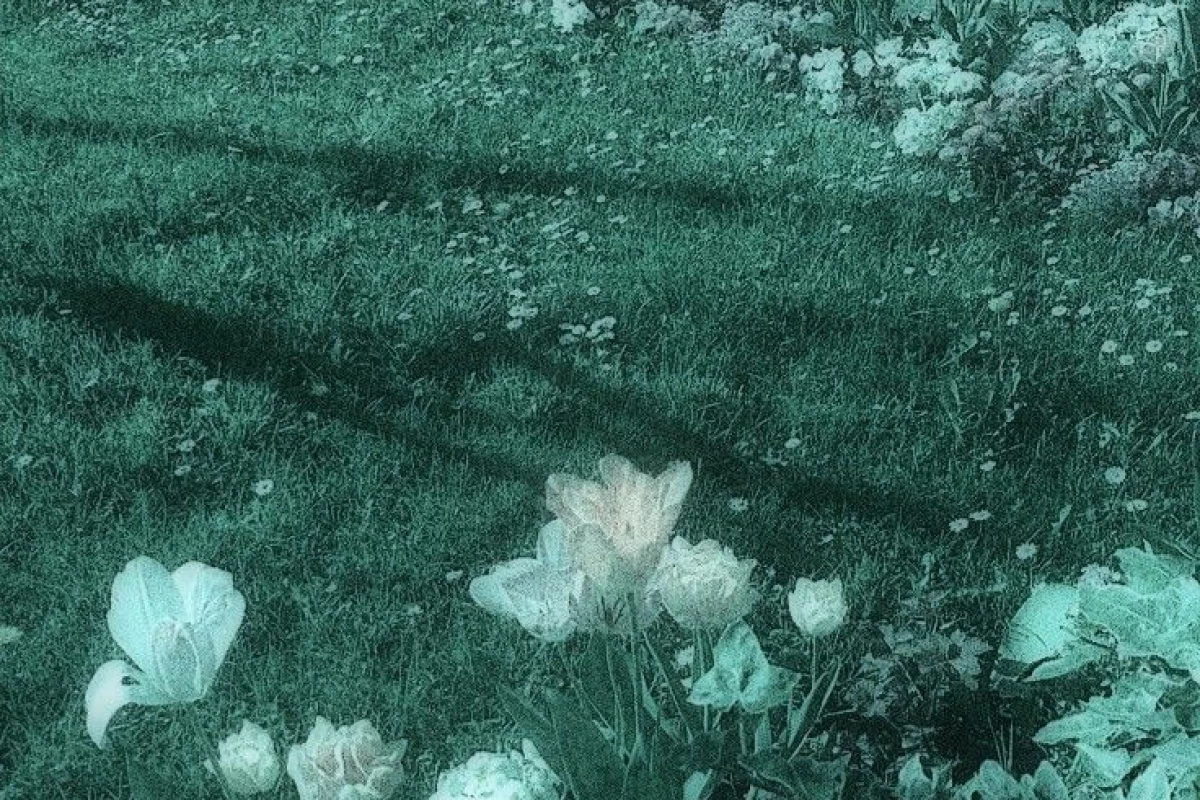 عکس تو ی دختری نمیتونی x باشی(انیمیشن ver)