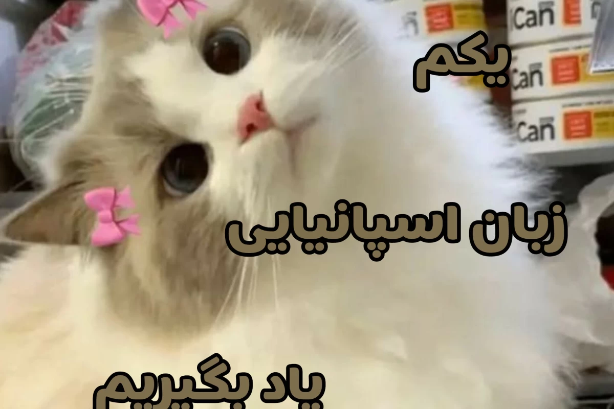 عکس اموزش زبان اسپانیایی