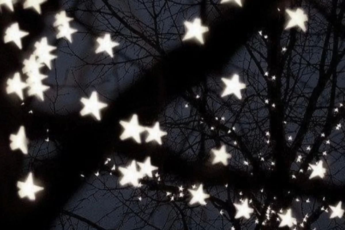 عکس کاراته؟🥋