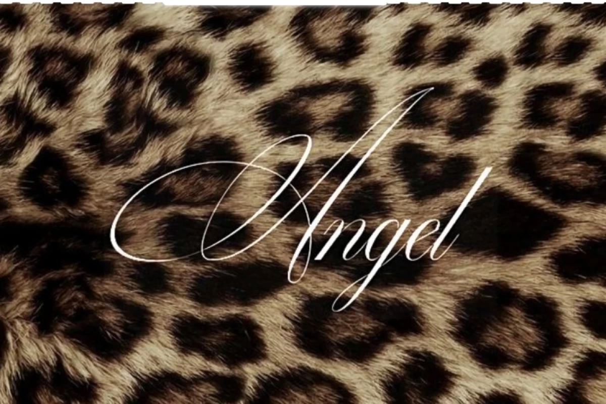 عکس جنسیت دلقک ماهی ها ؟!