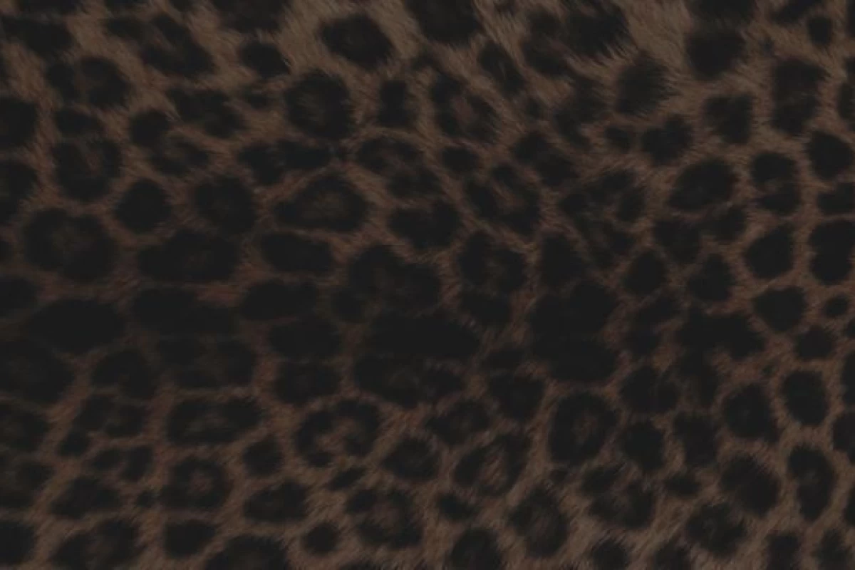 عکس نه بابا من عقده ای نیستم!