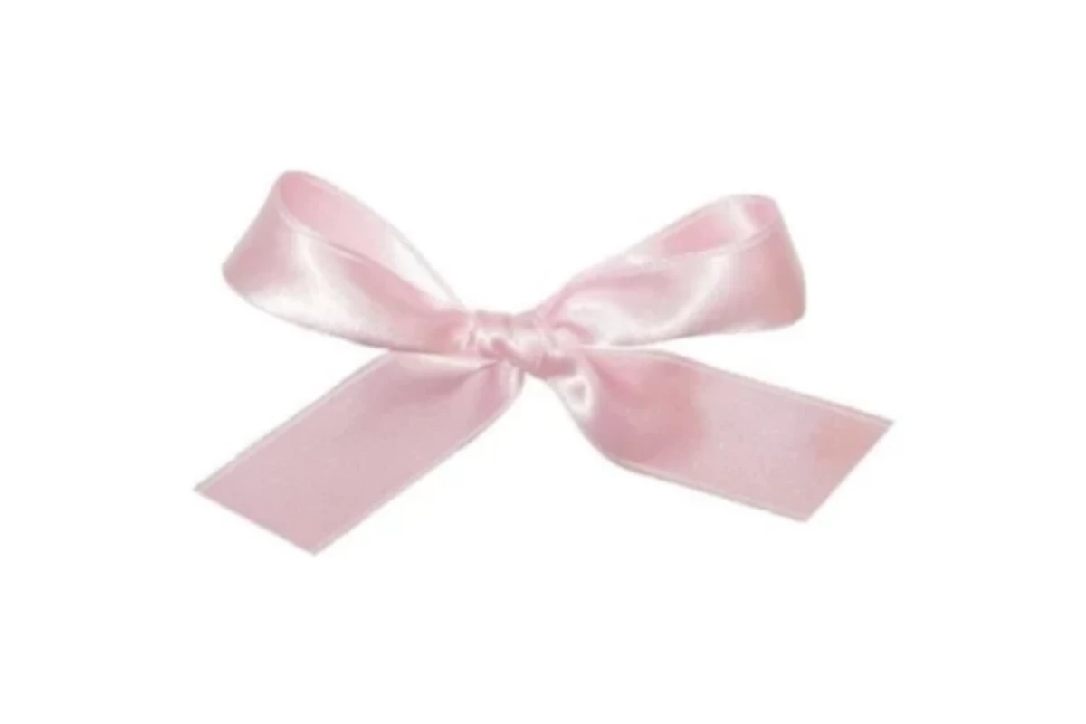 عکس Rozhin کیست؟