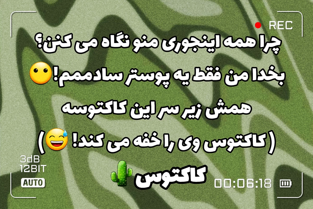 عکس تبریک میگم تو بدبخت شدی!(اتفاقات رومخ 𝐕𝐄𝐑)