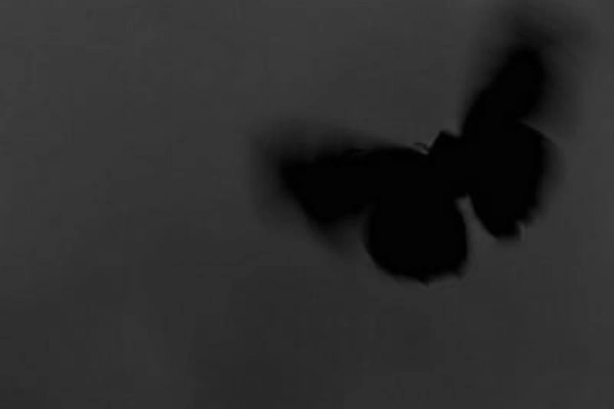 عکس حرف هایی از Entj عزیزم