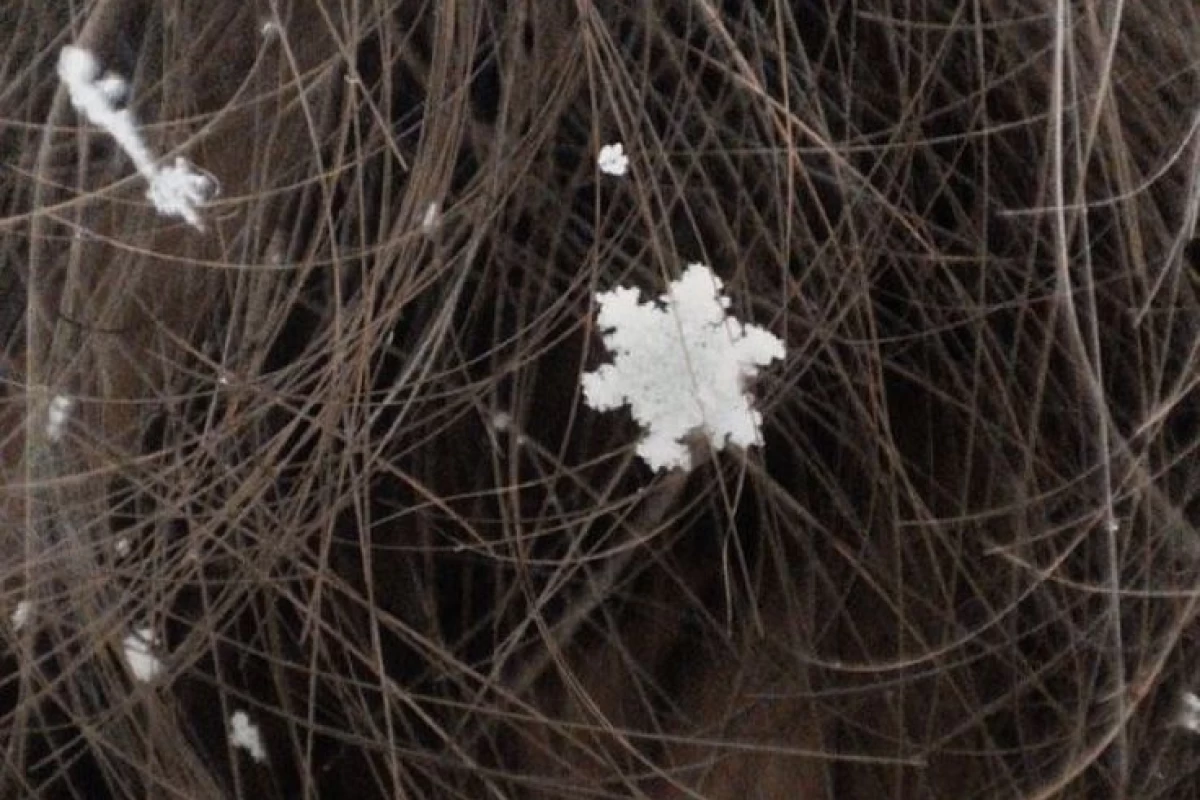 عکس جرا بعضیا از رو به رو نمیگن؟