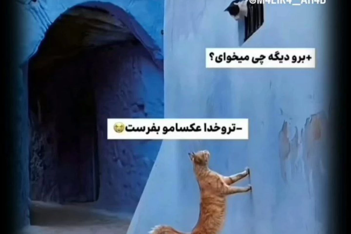 عکس توییت خنده دار و حق پارت چهار