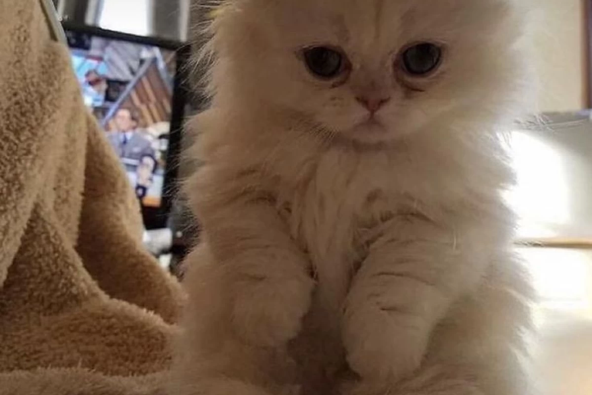 عکس پرفروش ترین و بهترین کتاب ها ی سال