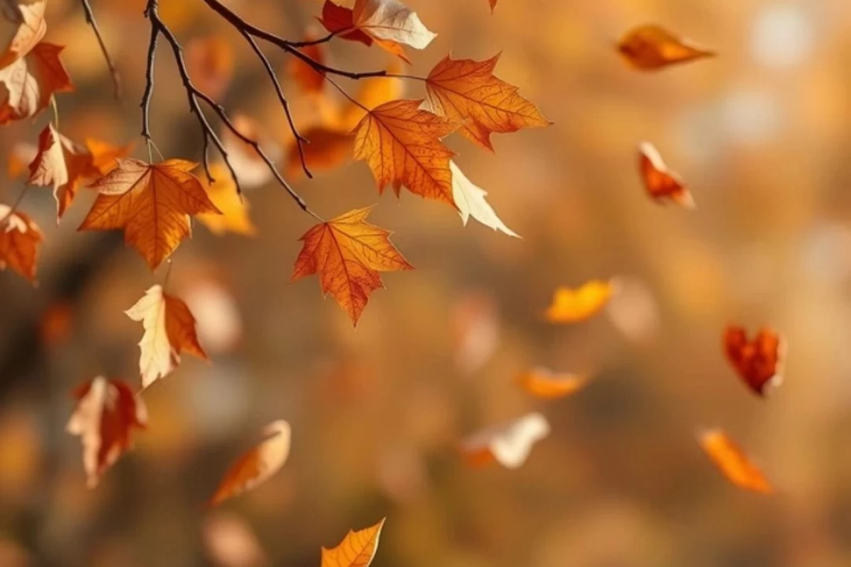 عکس می‌دونم فراموش کردم ولی نمی‌دونم چی بوده؟!