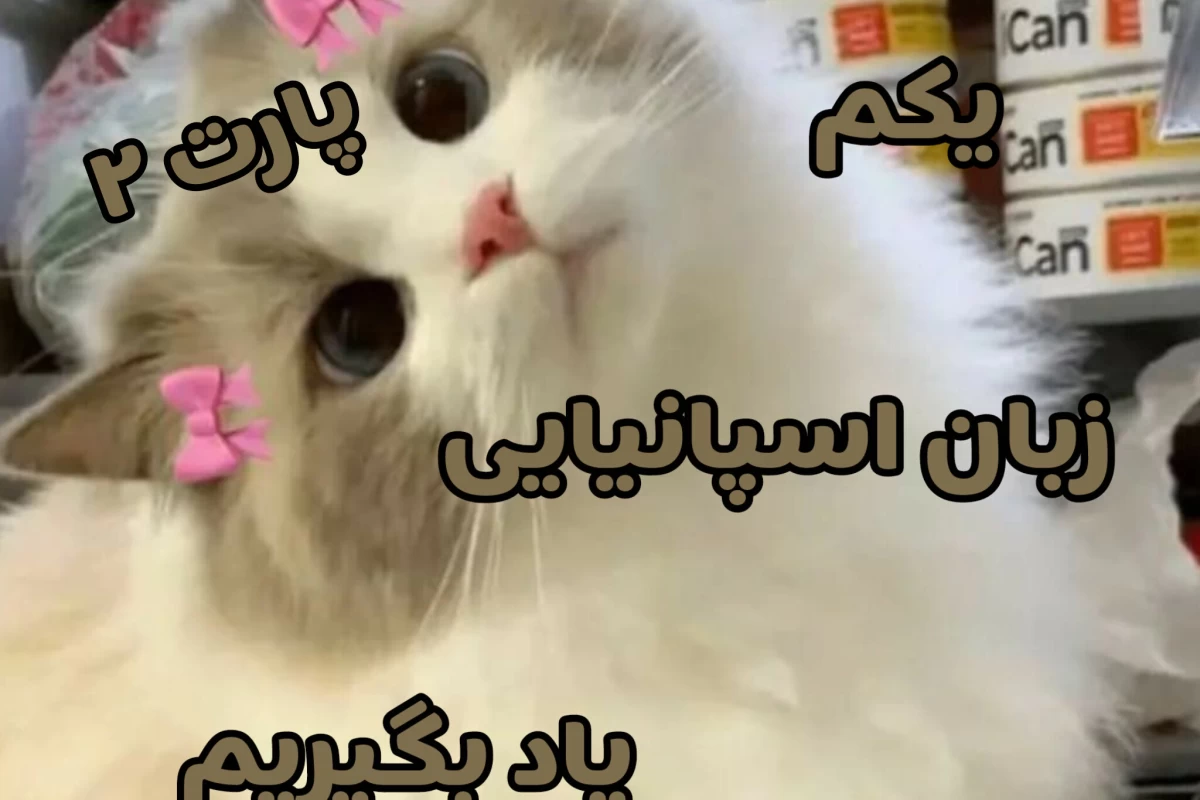 عکس اموزش زبان اسپانیایی