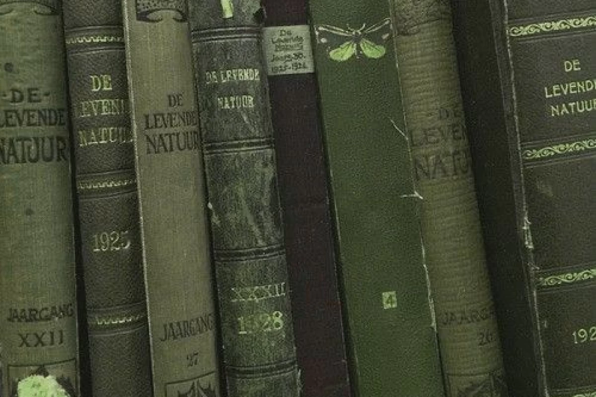 عکس اینارو تو فندوم دیدی فرار کن!