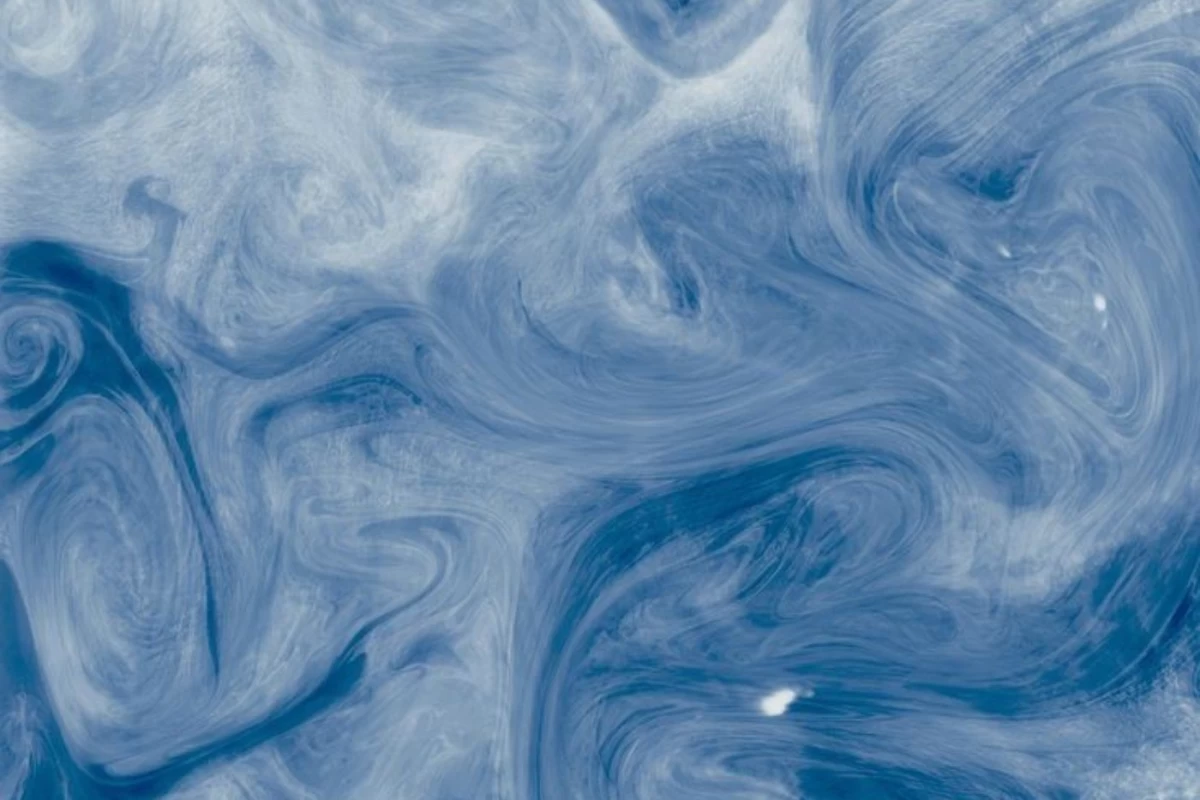 عکس 🪻𝑀𝓎 𝒷𝒾𝑜🌊