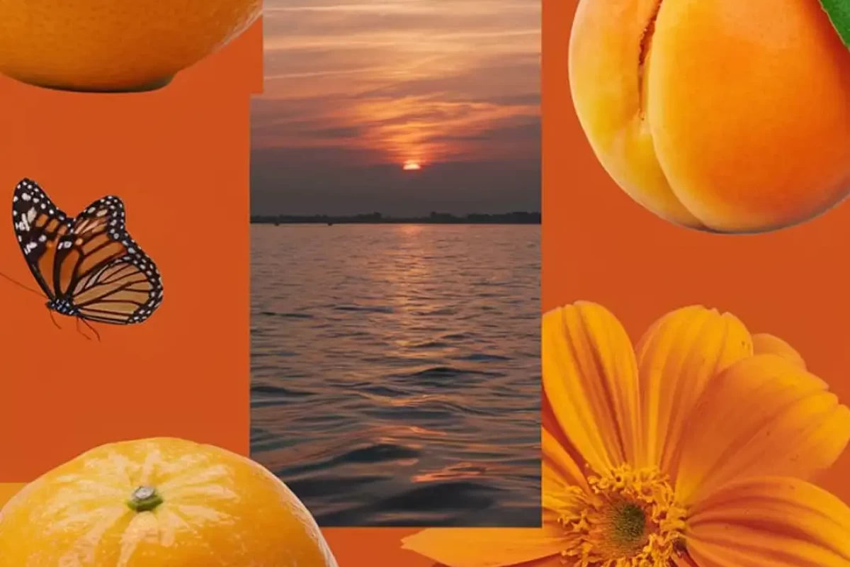 عکس میم با حضور کاربر hasti