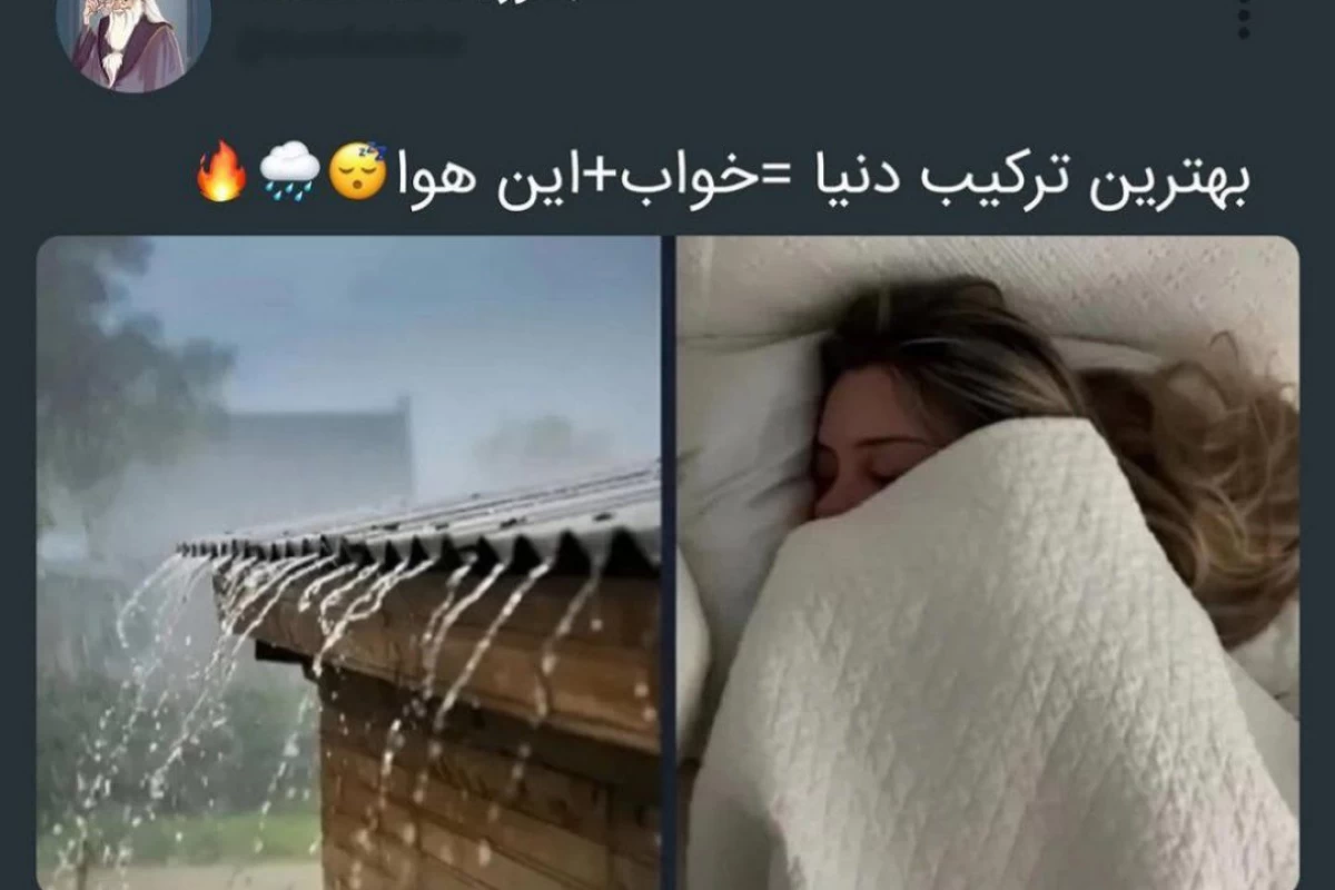 عکس توئیت حس خوب🐈✨️