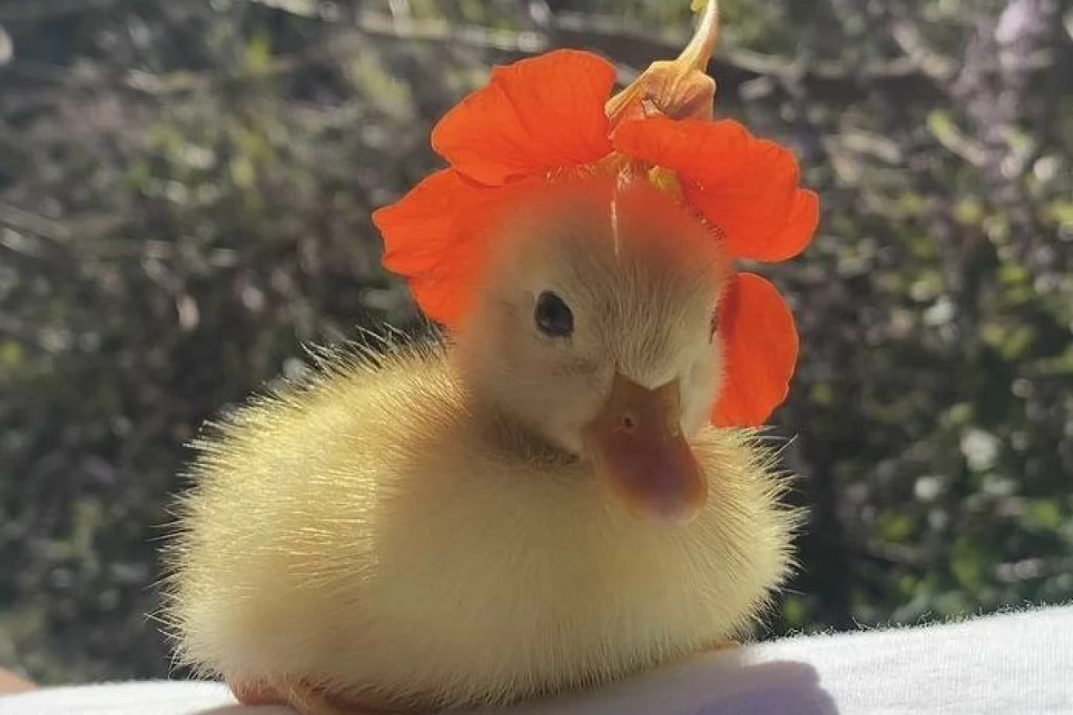 عکس ✞توییت میم✞