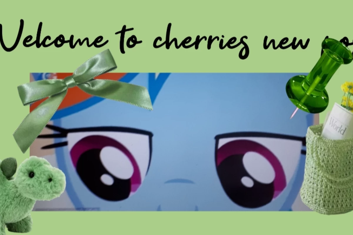 عکس درسته اون فقط یک لاک پشته ولی؛