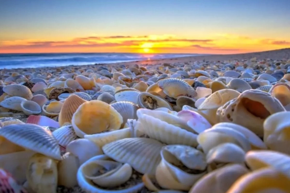 عکس چیزایی که......