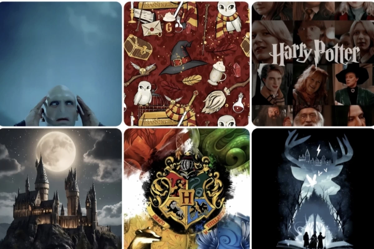 عکس 50 عکس والپیپر و پروفایل از هری پاتر