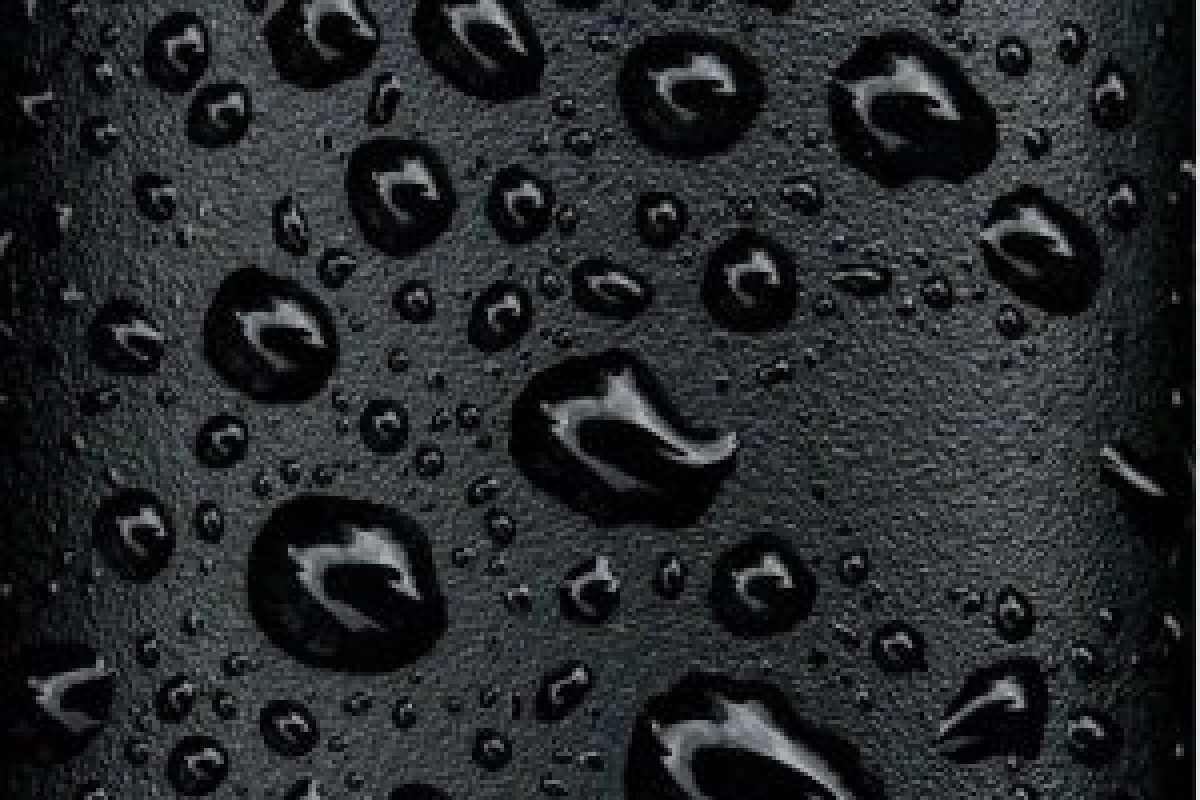 عکس دنیا از دید حیوانات چه شکلیه ؟